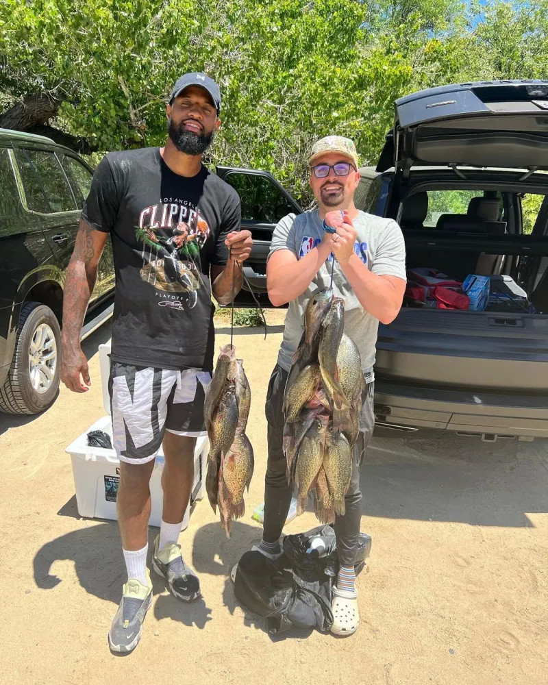 的视野和技 的视野和技